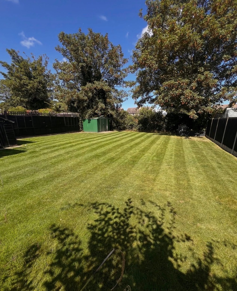 A freshly mown striped lawn with mature trees and garden fencing